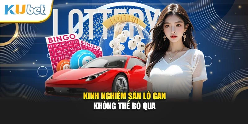 Kinh nghiệm săn lô gan không thể bỏ qua