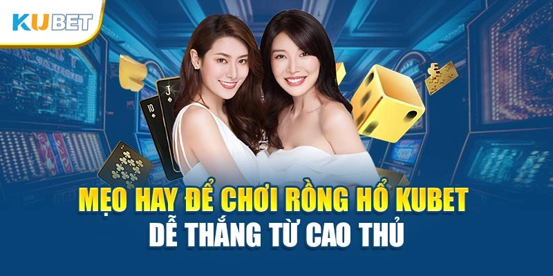 Mẹo hay để chơi Rồng Hổ Kubet dễ thắng từ cao thủ
